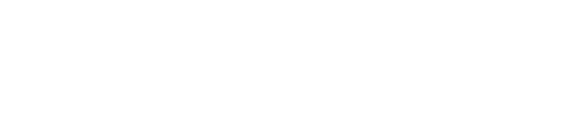 IES logo